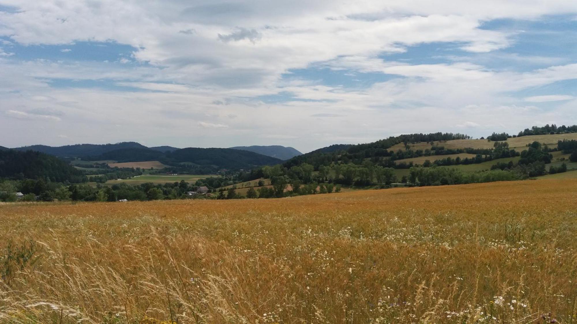 Maraska Holiday House Каменна Гора Екстериор снимка