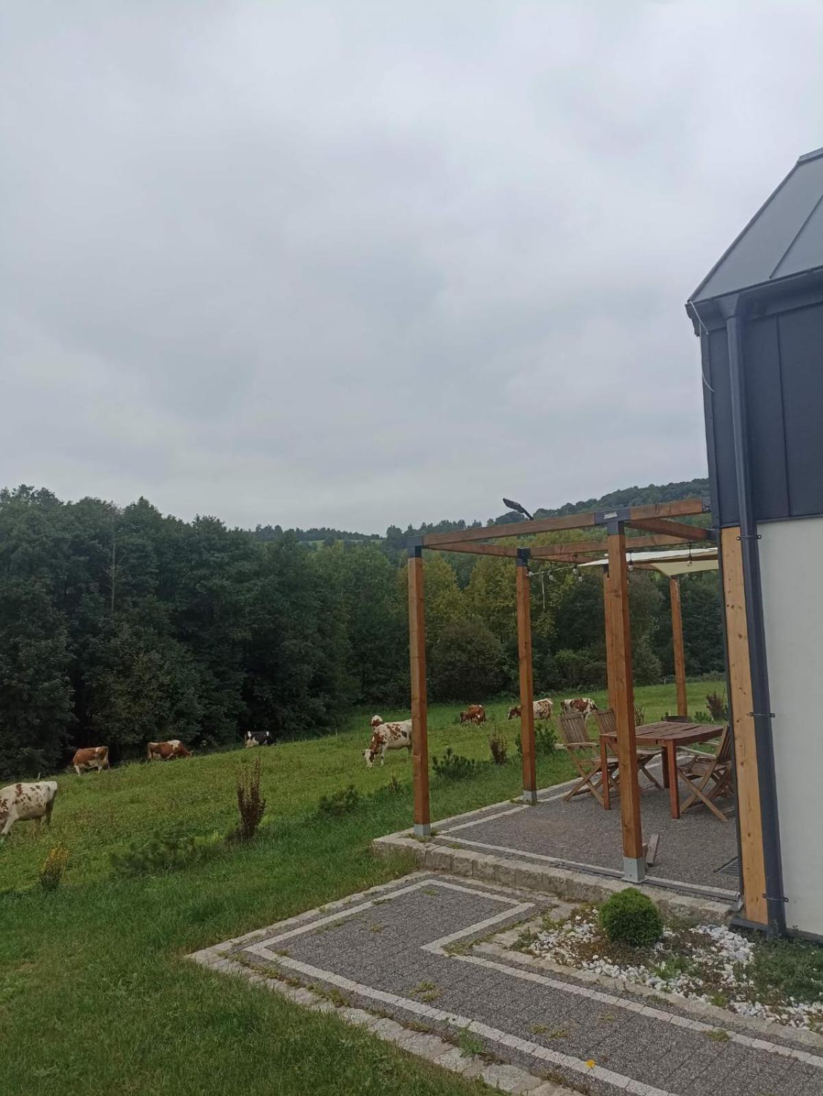 Maraska Holiday House Каменна Гора Екстериор снимка